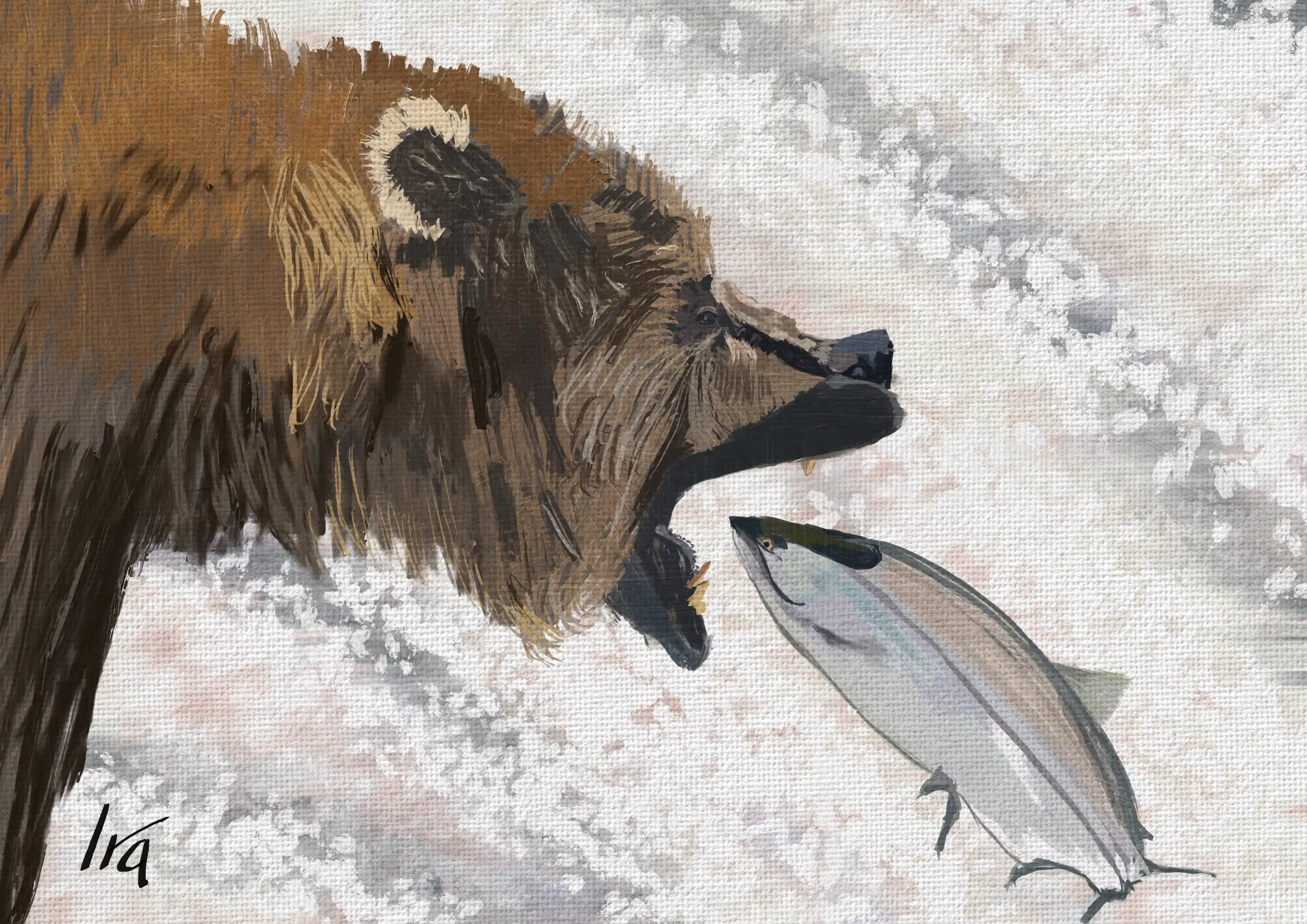 Brooks Falls Brown Bear