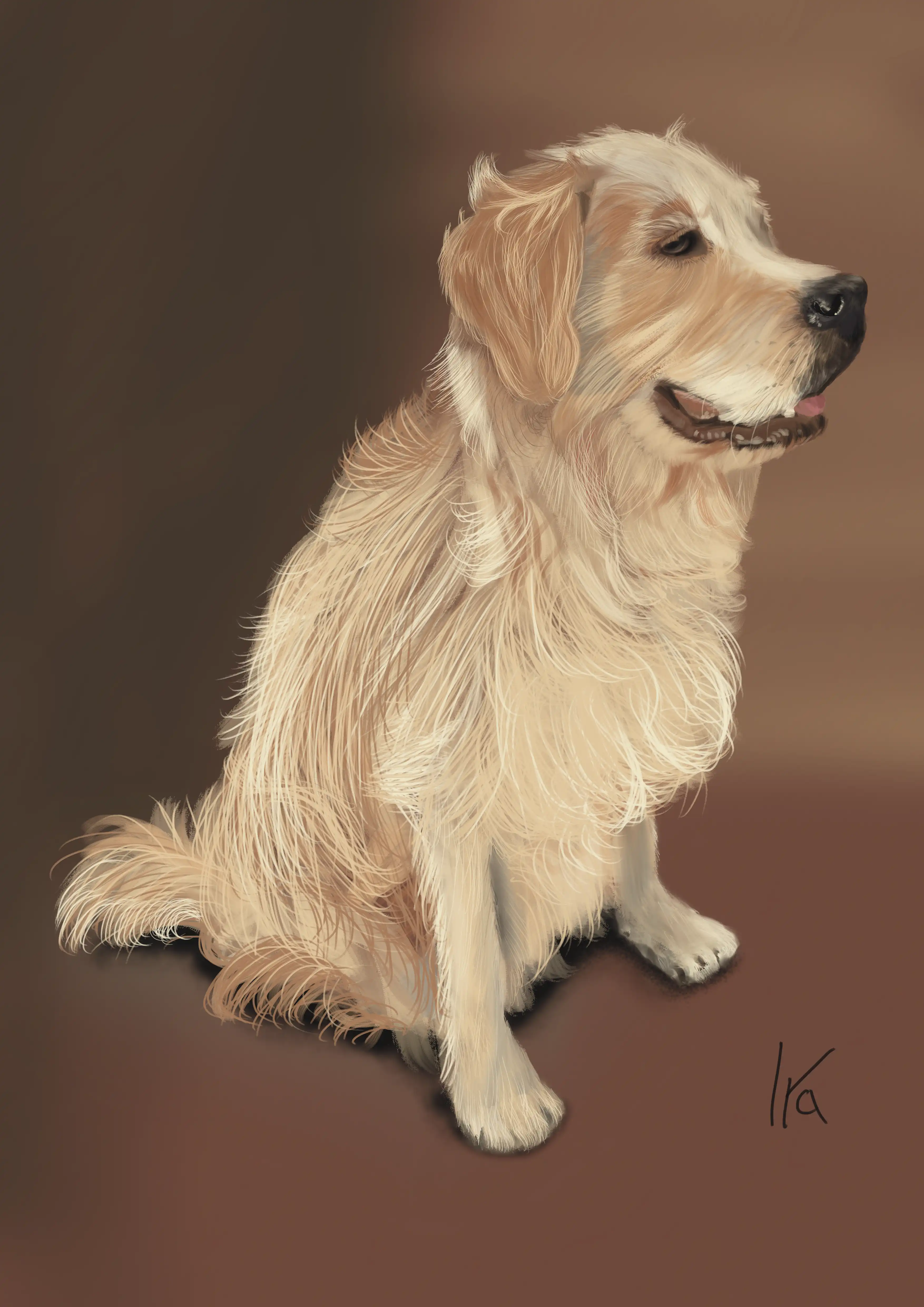 Golden Retriever