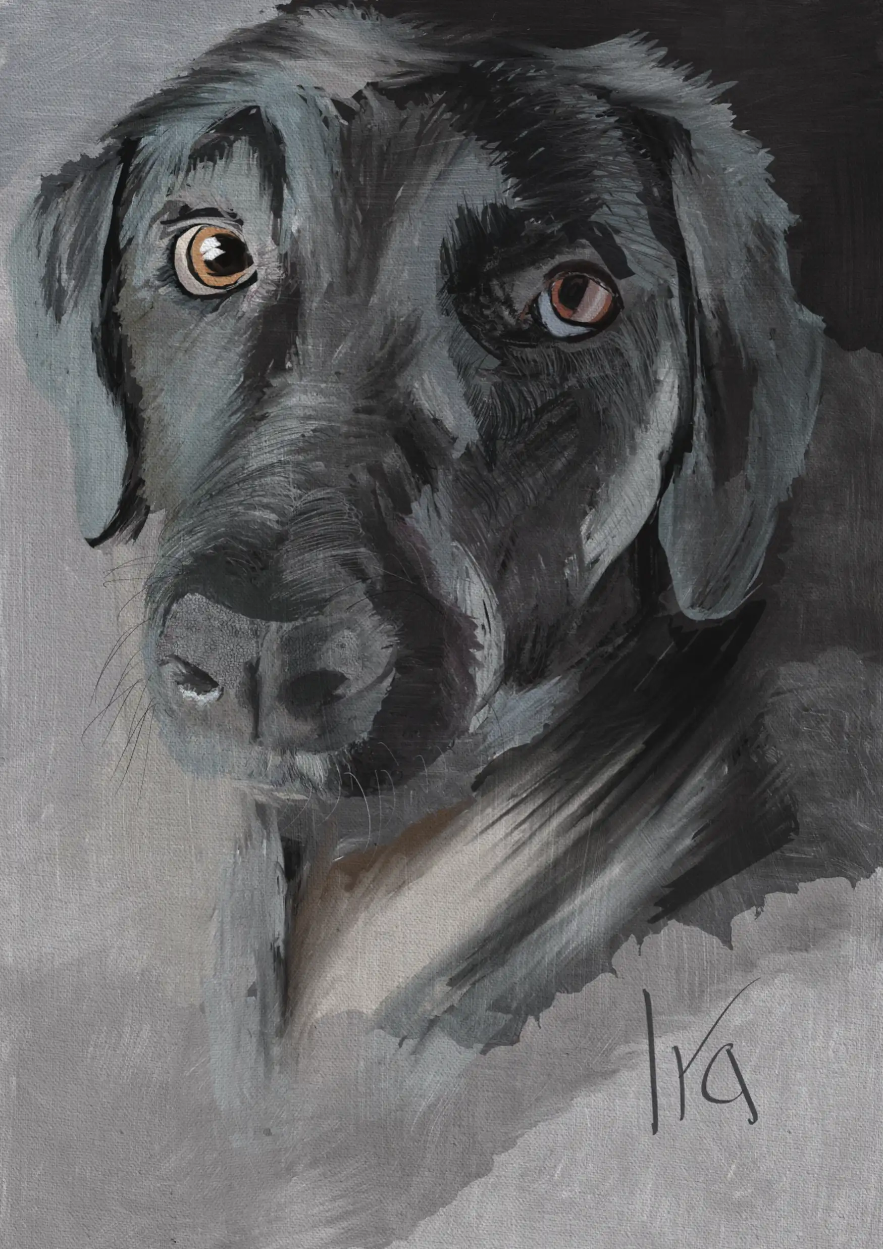 Teddy the black dog