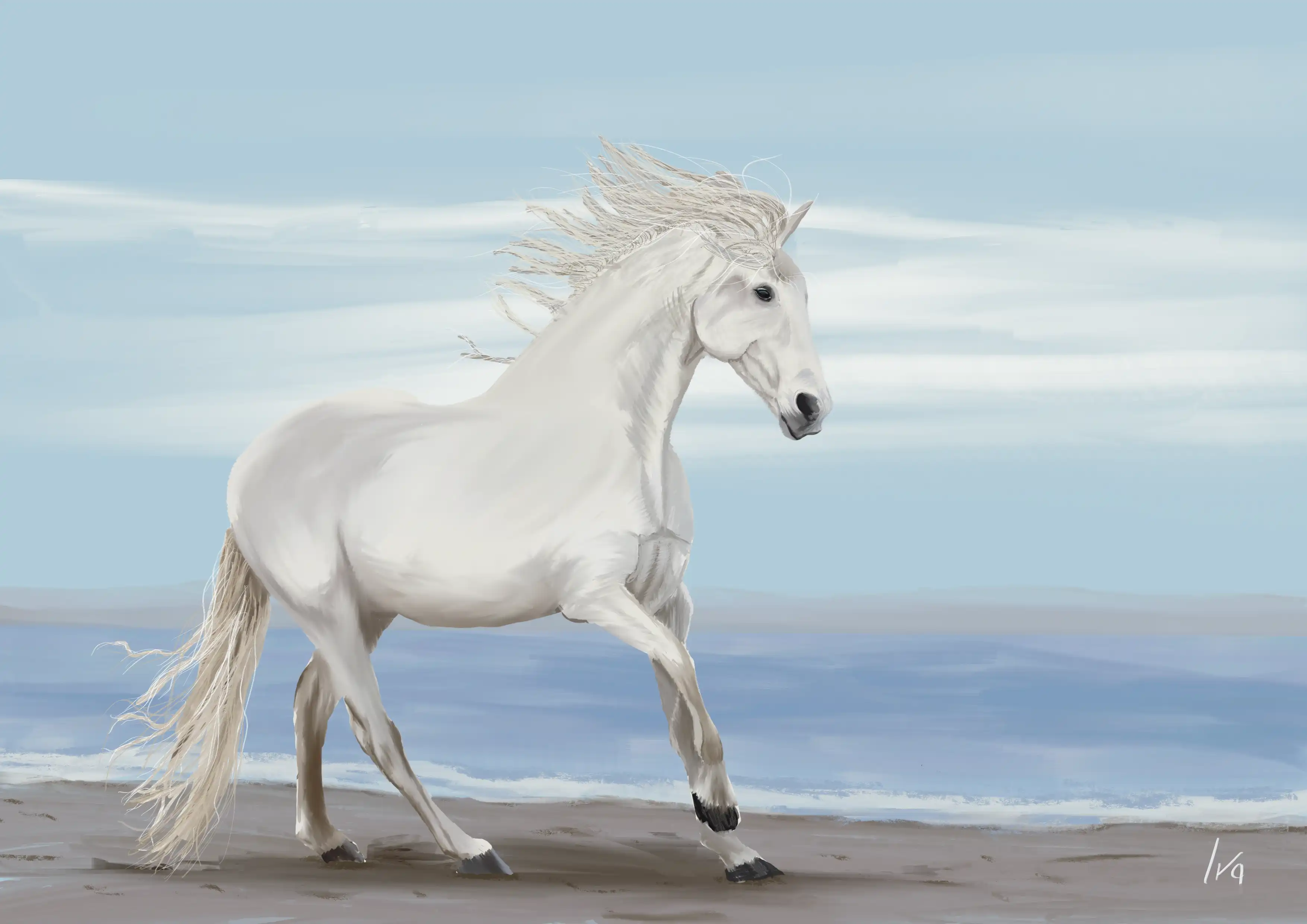 White horse on beach