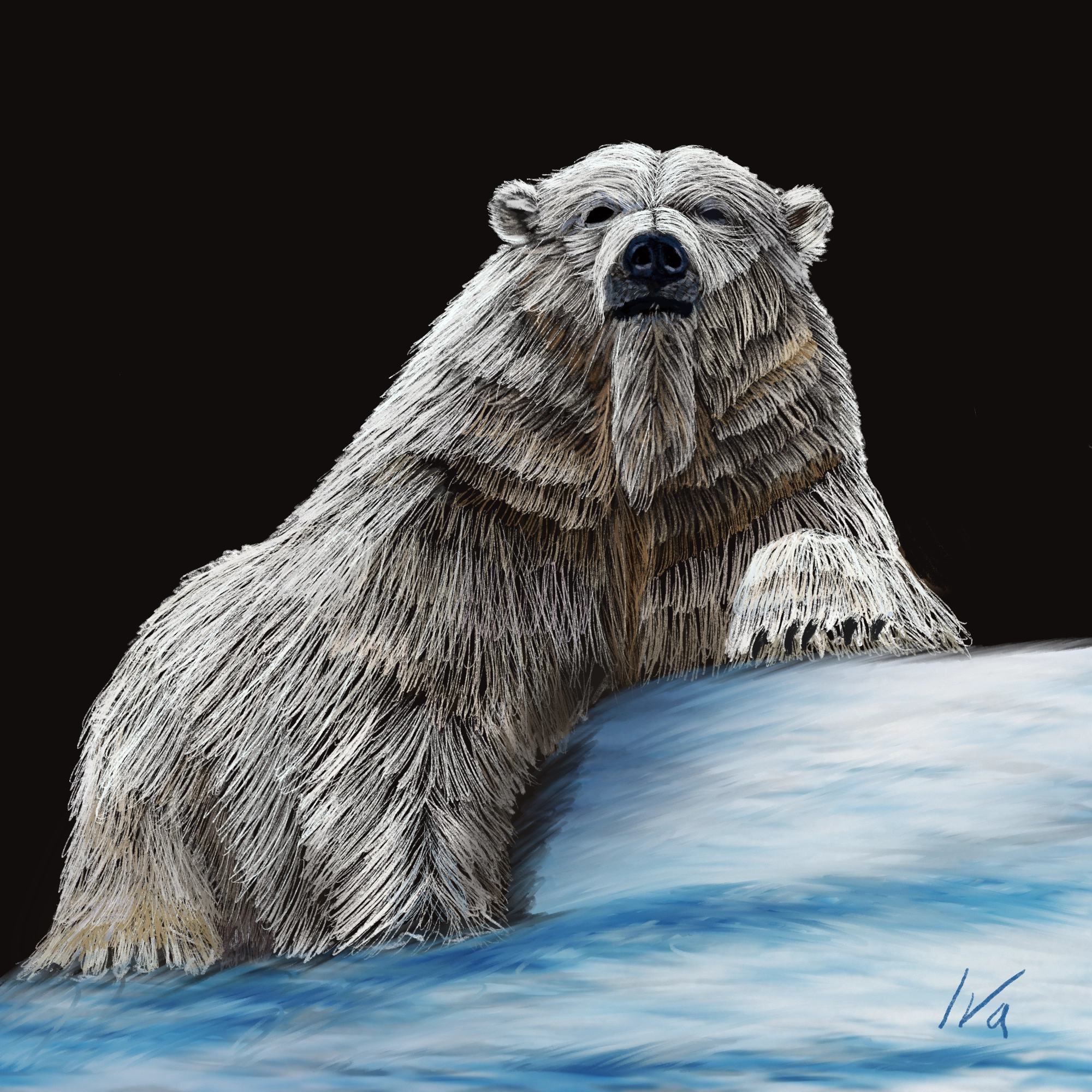 Polar bear at night